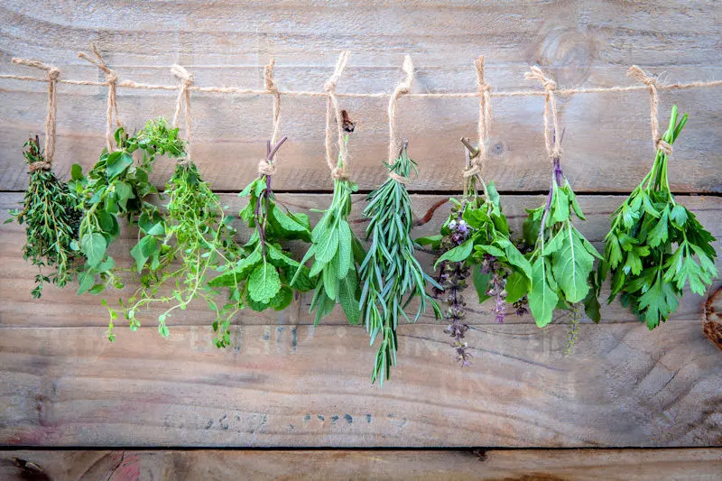Hanging herbs